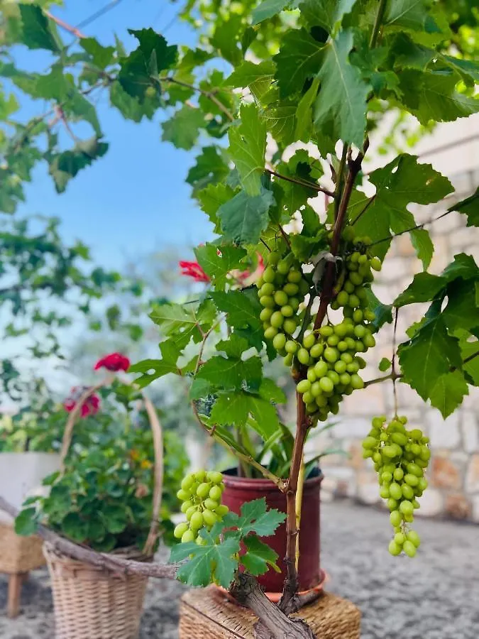 Tzavelitiko Home Himare